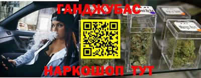 СК Волгодонск