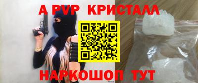 СК Волгодонск