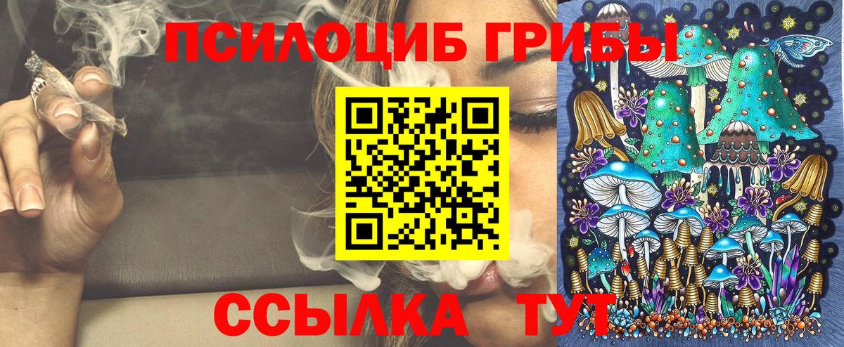 Галлюциногенные грибы Cubensis  Вход с VPN  Гусев 